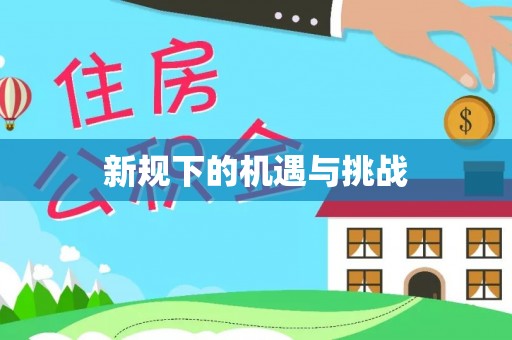 淮滨新规下的机遇与挑战