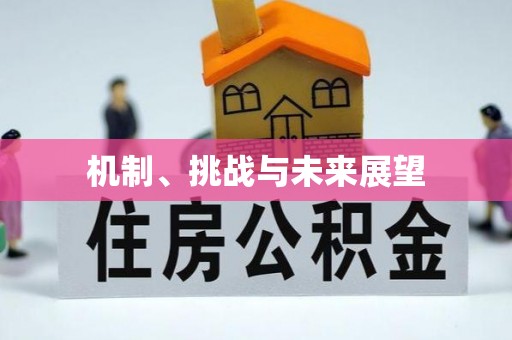 淮滨机制、挑战与未来展望